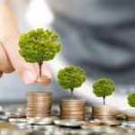 Finanzas Verdes: Impulso, Innovación y Perspectivas para la Sostenibilidad Económica y Ambiental