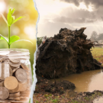 Impacto del Fenómeno El Niño en el Perú: Desafíos económicos y medidas de respuesta ante eventos climáticos extremos