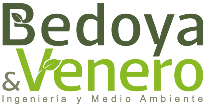 bedoyayvenero.com